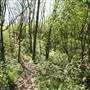 Hounslow Heath