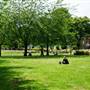 Turnham Green