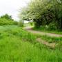 Bow Creek Ecology Park