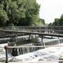 Dobbs Weir