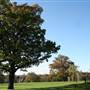 Friary Park