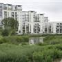 Heybourne Park Pond