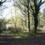 Scratchwood Nature Reserve