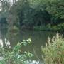 Totteridge Ponds