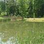 Best Friend Park