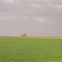Green Circular Farms - Meegowa  - المزارع الدائرية الخضراء - ميقوع