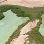 Zufaf Island- Mangrover جزيرة زفاف – غابة المانجرف