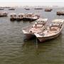 Traditional Fishing Boat Harbour - Al Qatif Corniche - ميناء قوارب الصيد التقليدية - كورنيش القطيف