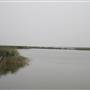 Asfar Lake - بحيرة الأصفر - الأحساء