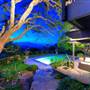 Treetops Novato