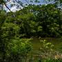 Simpsonwood Park
