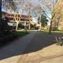 Dovehouse Green
