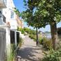 Strand-on-the-Green Riverside