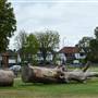 Friary Park