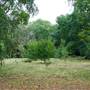 Friary Park