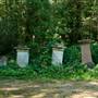 Nunhead Cemetery