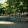 Whittington Park (and football pitch)