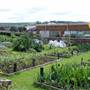 Newquay Community Orchard
