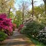 Boconnoc