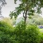 Lee Valley Almost Wild Campsite