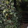 Bromley Road, London