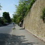 Thicket Road