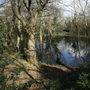West Wickham Common and Hayes Common