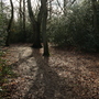 West Wickham Common and Hayes Common