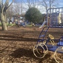 Alexandra Recreation Ground - Playground