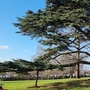 Crease Park