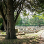 Borough Cemetery