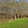 Clayton Hill