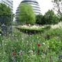 Potters Fields Park