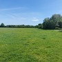 Norman Park