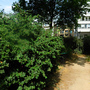 Quaker Court