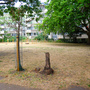 King Square Gardens