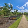 Kitchen Garden (Chiswick House & Gardens)