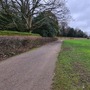 Cherry Orchard & Walled Garden (Chiswick House & Gardens)