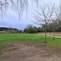 Cherry Orchard & Walled Garden (Chiswick House & Gardens)