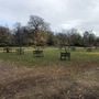 Cherry Orchard & Walled Garden (Chiswick House & Gardens)