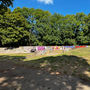 Markfield Park