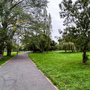 Downhills Park