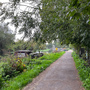 Reedham Close & River Lea