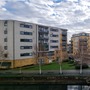 The Nest