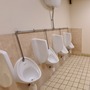North-West London toilet stalls