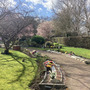 Upminster Cemetery