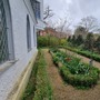 Strawberry Hill House - Exteriors