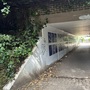 Lea Bridge Road Tunnel