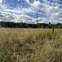 Waterworks Nature Reserve