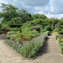 Waltham Abbey Gardens